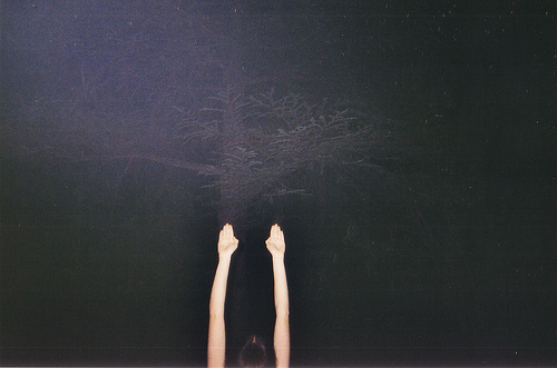 The Arms Project by Lisa Manfreo